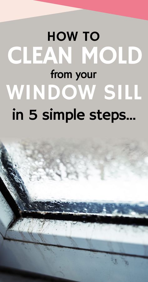 Cleaning Window Seals, Window Seal Cleaning Tips, Windowsill Cleaning Hack, Cleaning Window Sills, How To Clean Mold, How To Clean Windows, Window Sill Cleaning Hack, How To Clean Window Sills, Natural Mold Remover Bathroom