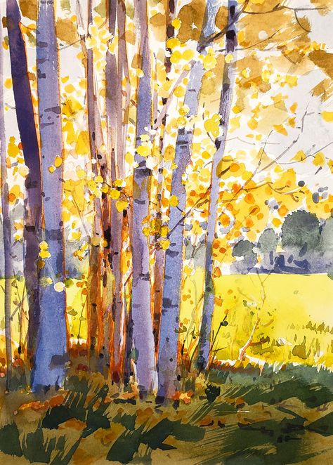 Autumn Aspen Trees, Paintings Of Aspen Trees, Aspen Watercolor Painting, Watercolor Aspen Trees Tutorial, Aspen Trees Watercolor, Aspen Tree Watercolor, Aspen Tree Art, Watercolor Aspen Trees, Watercolor Aspens