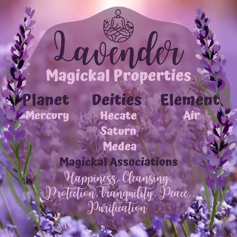 Lavender Properties, Witchy Ingredients, Witchy Plants, Herbal Witch, Goddess Magick, Candle Magic Spells, Food Magic, Kitchen Witch Recipes, Witch Board