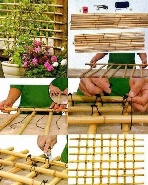 Decore Your Home With Creative DIY Bamboo Crafts-homesthetics (20) Bamboo Diy, Tanaman Pot, Jardim Diy, Bamboo Trellis, نباتات منزلية, Bamboo Decor, Bamboo Garden, Bamboo Fence, Bamboo Crafts