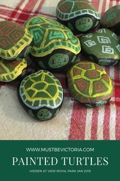 Painted Turtles, Turtle Painted Rocks, Garden Rock Art, Painted Rock Animals, Stone Art Painting, Fabric Christmas Ornaments Diy, Painted Rocks Kids, Flowers Painted, Painted Rocks Craft