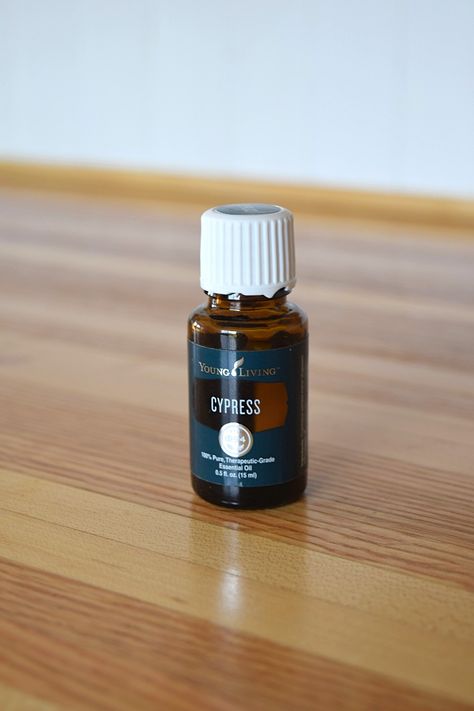 5 Reasons why you should use Cypress Essential oil - A Stray Kitchen Young Living Cypress, Deodorant Recipes, Cupressus Sempervirens, Cypress Oil, Cypress Essential Oil, Essential Oil Roller Balls, Essential Oil Combinations, Essential Oils Young Living, Earthy Scent