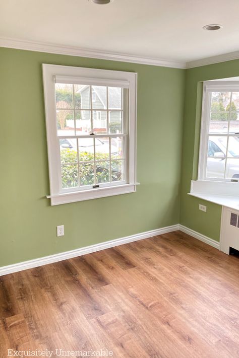 Green Painted Living Room Desert Green Benjamin Moore, Green Shade Wall Paint, Sage Green Basement Walls, Bm Louisburg Green, Warm Light Green Paint Colors, Apple Green Paint Colors, Bright Living Room Paint Color Ideas, Green Walls In Kitchen, Light Green Wall Color