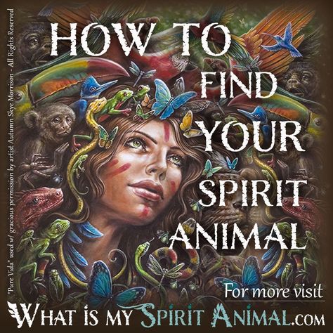 How To Find Your Familiar, Animal Totem Spirit Guides, Spirit Animal Quiz, Find Your Spirit Animal, Spirit Animal Meaning, Totem Animals, Animal Meanings, Spirit Animal Totem, Animal Spirit Guide