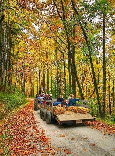 Hay Ride Ideas, Fall House Exterior, Hay Ride, Fall House, Harvest Fest, Fall Dates, Fall Fest, Home Cozy, Autumn Magic