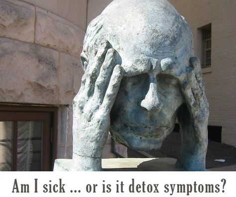 detox symptoms Mucoid Plaque Cleanse, Detoxing Heavy Metals, Yoga For Detoxification, Detox Heavy Metals, Heavy Metals Detoxification, Detox Symptoms, Body Detox Cleanse, Gaps Diet, Digital Detox