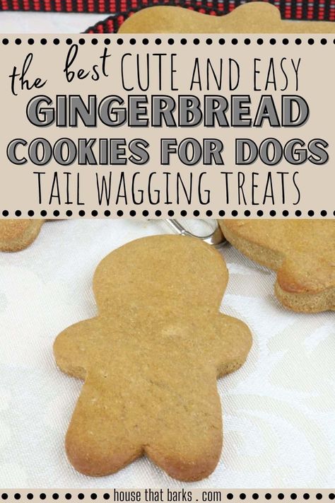 Ginger Snap Dog Treats, Molasses Dog Treats, Ginger Dog Treats, Dog Gingerbread Cookies, Doggie Cookies Recipe, Dog Cookies Recipe Easy, Dog Cookies Decorated, Dog Cookies Recipe, Cookies For Dogs