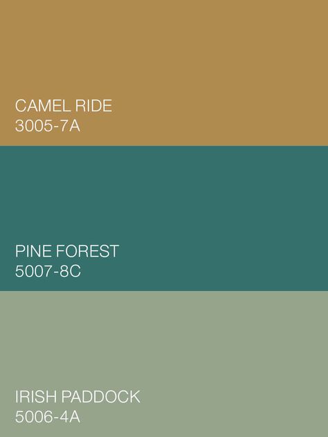 Grounded in familiar territory, Valspar colors, Camel Ride 3005-7A, Pine Forest 5007-8C and Irish Paddock 5006-4A, deliver an elegant, earthy richness to the Good Company palette. Available at Lowe's. Valspar Colors, Research Poster, Living Space Decor, Color Palette Design, Pine Forest, Color Of The Year, Cleaning Organizing, Color Pallets, Good Company