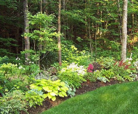 Landscape Design in Wooded Areas | KG Landscape Management Playground Backyard Landscaping, Wooded Backyard Landscape, Fern Garden, Large Backyard Landscaping, Wooded Area, Patio Grande, Wooded Landscaping, Modern Garden Design, Garden Shrubs