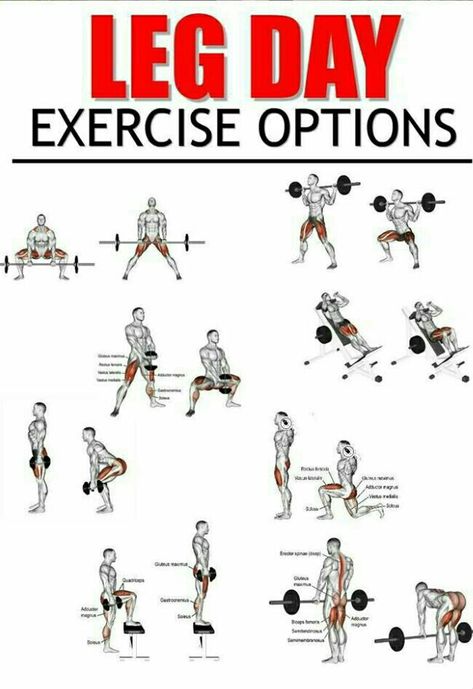 Leg Day Exercises, Leg Workouts For Men, Leg Workouts Gym, Best Leg Workout, Muscle Abdominal, Leg Workouts, Gym Workout Chart, Workout Routine For Men, Gym Workouts For Men