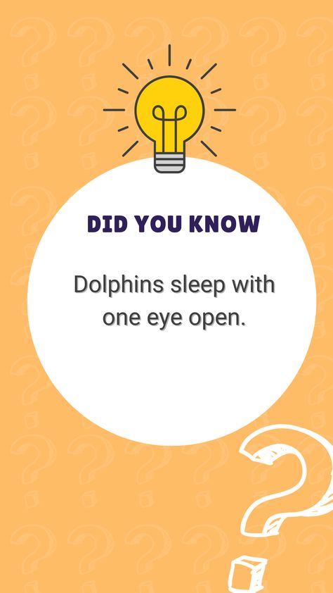 #DidYouKnow#fun facts#Curious Mind Fun Facts For Kids, Fun Fact Friday, English Fun, Facts For Kids, Fun Fact, Fashion Kids, Cute Drawings, Did You Know