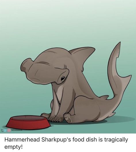 Shark Dog, Happy Shark, Shark Drawing, Shark Art, Hammer Head, Cute Shark, Fantasy Beasts, Oh My Goodness, Shark Week