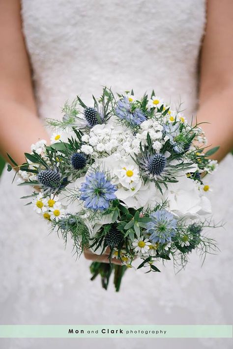 Bouquet of white hydrangea, camomile, thistle and blue! Bouquets With Thistle, Hydrangea And Thistle Bouquet, Thistle Bridal Bouquet, Bouquet With Thistle, Blue Thistle Bouquet, Wedding Bouquet Hydrangea, Camomile Bouquet, Thistle Wedding Flowers, Wedding Flowers Yellow