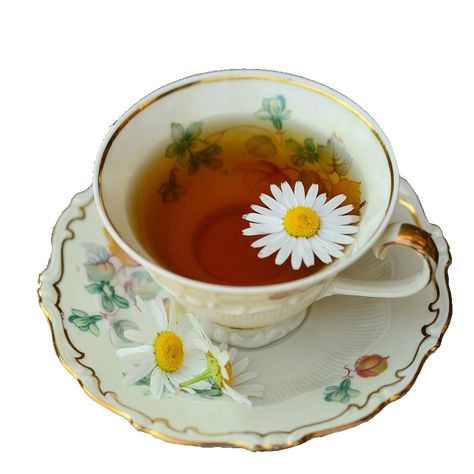 Tea Png Aesthetic, Daisy Icon, Cottagecore Png, Cottagecore Icons, Tea Png, Bedtime Tea, Healthy Teas, Tea Plates, Chamomile Tea