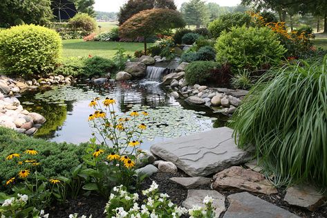 serene pond backyard | This beautiful picture shows a serene… | Flickr Small Backyard Ponds, Tanaman Air, Koi Pond Design, Kolam Air, Kolam Koi, Taman Air, Building A Pond, Water Gardens Pond, Small Pond