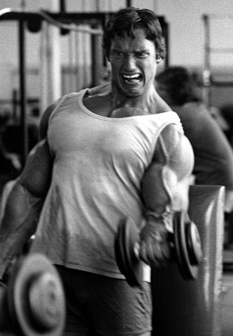 Arnold Schwarzenegger Gym, Arnold Schwarzenegger Muscle, Arnold Schwarzenegger Quotes, Arnold Bodybuilding, Arnold Schwarzenegger Bodybuilding, Schwarzenegger Bodybuilding, Bodybuilding Pictures, Zip Line, 남자 몸