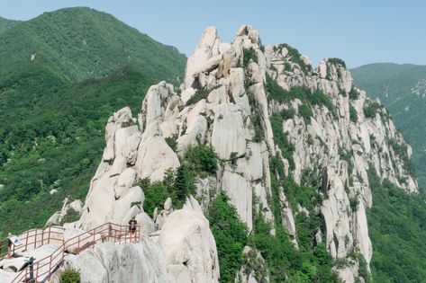 Korea Mountain, Seoraksan National Park, Mountain Streams, Sailing Trips, Mountain Stream, Scenic Photography, Korea Travel, Beautiful Mountains, Flora And Fauna