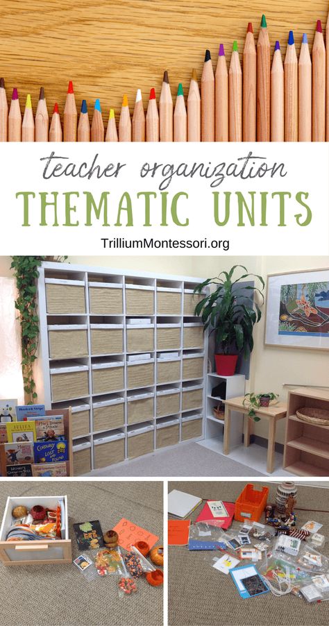 Organizing Thematic Units and Seasonal Supplies - Trillium Montessori Montessori Organization, Montessori Storage, Organizing Classroom, Homeschool Themes, Thematic Teaching, Teacher Storage, Montessori Lessons, Montessori Practical Life, Classroom Storage