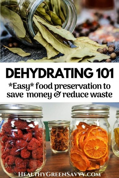 Dehydrating Food 101 ~ Preservation for Novices Dehydrator Recipes Fruit, Dehydrating Food Storage, Food Dehydration, Dehydrating Food, Plat Vegan, Hiking Snacks, Dehydrated Vegetables, Canning Food Preservation, Canned Food Storage