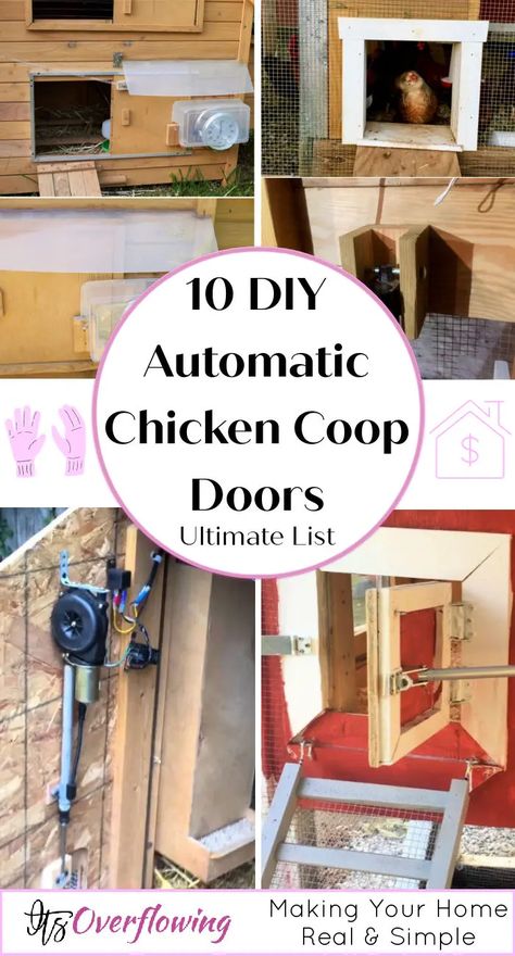 Chicken Coop Automatic Door, Chicken Coop Door Ideas, Chicken Coop Doors, Coop Plans Free, Automatic Chicken Door, Diy Pool Ideas, Chicken Coop Plans Free, Goats And Chickens, Chicken Door