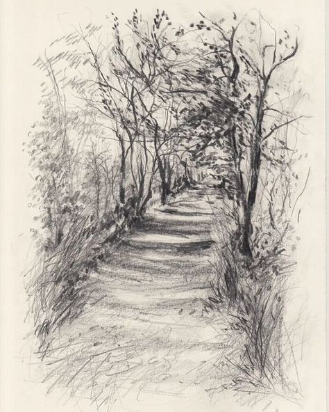 Claudia Lowry on Instagram: "Forest path no. 3 Graphite on paper, 21cm x 29.7cm. Latest drawing in my forest path series, available via the link to my webshop in my bio, or please do dm to enquire. With thanks 🌿 #drawingfromlife #contemporarydrawing #markmaking #forestdrawing #wintertrees #lightthroughthetrees #gesturalart #artistdrawing #drawingoninstagram #observationaldrawing #artforsale #expressivedrawing #graphitedrawing #beauxarts #sketch #artcontemporain #naturedrawing #graphitedrawing Forest Drawing Easy, Forest Sketch, Latest Drawing, Landscape Pencil Drawings, Portraits Of People, Forest Drawing, Observational Drawing, Landscape Sketch, Forest Background