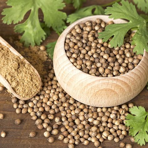 Coriander and cilantro are the same plant, but harvesting the coriander seeds will give you a totally different culinary experience. Here's how to do it. Coriander Oil, Water Retention Remedies, Lose Water Weight, Asam Jawa, Edible Seeds, Water Retention, Coriander Powder, Minestrone, Coriander Seeds