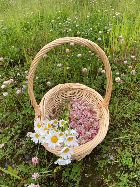 Foraged Clover & Daisy Forager Aesthetic, Foraging Witch, Foraging Aesthetic, Purva Ashada, Year Aesthetic, Harvest Basket, Dream Future, Wild Edibles, Edible Food