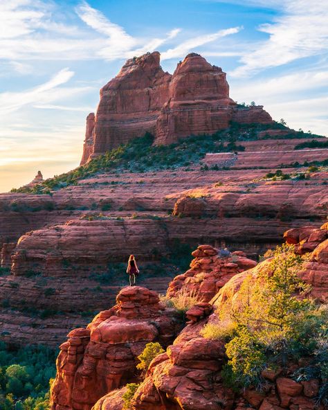 Goldfield Ghost Town, Arizona Aesthetic, Waterfall Trail, Family Nature, Camelback Mountain, Desert Vibes, Desert Oasis, Sonoran Desert, Sedona Arizona