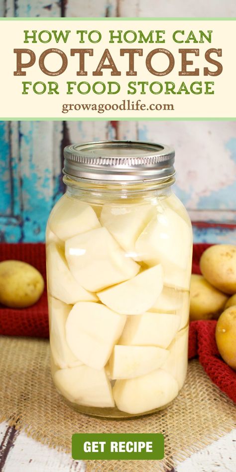 Preserving potatoes by pressure canning makes them shelf stable so they last a long time on your food storage shelves. Visit for tips on choosing the best potatoes for canning, and learn how to pressure can potatoes with this safe canning recipe and tutorial. Canning Sweet Potatoes Water Bath, How To Can Potatoes In A Water Bath, Canning Potatoes Water Bath, Can Potatoes, Canning Potatoes, Pressure Canning Recipes, Canned Potatoes, Modern Homestead, Canning Fruit