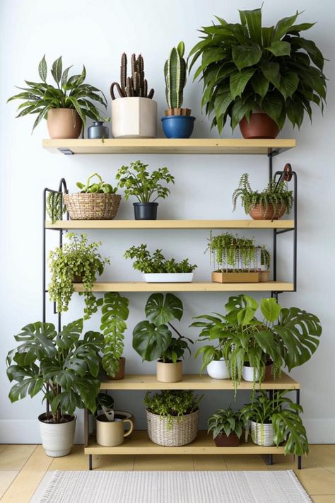 Transform your living room into a lush oasis with indoor plants and stylish wall shelves. Create a natural focal point with cascading greenery and display cherished items on open shelves. Find inspiration for creating a vibrant and welcoming space. Oasis Living Room, Living Room Wall Shelves, Room Wall Shelves, Living Room Plants Decor, Styling A Bookcase, Wall Shelves Living Room, Plants Nursery, Green Oasis, Plant Display