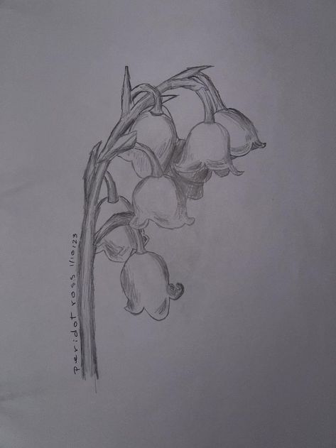 Valley Drawing, Realistic Flower Drawing, Realistic Drawing, Flower Art Drawing, Easy Drawings Sketches, Easy Doodles Drawings, Doodle Art Designs, Art Drawings Sketches Creative, Hand Art Drawing