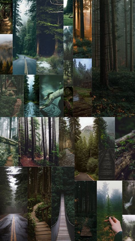 Woodsy Aesthetic Wallpaper, Green Forest Wallpaper Aesthetic, Earth Signs Aesthetic, Earth Sign Aesthetic, Nature Aesthetic Collage, Twilight Inspired Wallpaper, Earth Collage, Nature Collage Aesthetic, Nature Collage Wallpaper