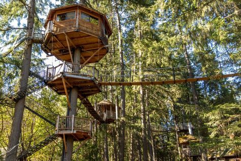 Unique Places to Stay in Southern Oregon | Travel Southern Oregon Southern Oregon Travel, Backyard Fort, Oregon Camping, Trail Life, Treehouse Hotel, Travel Oregon, Klamath Falls, Connect With Nature, Forest View