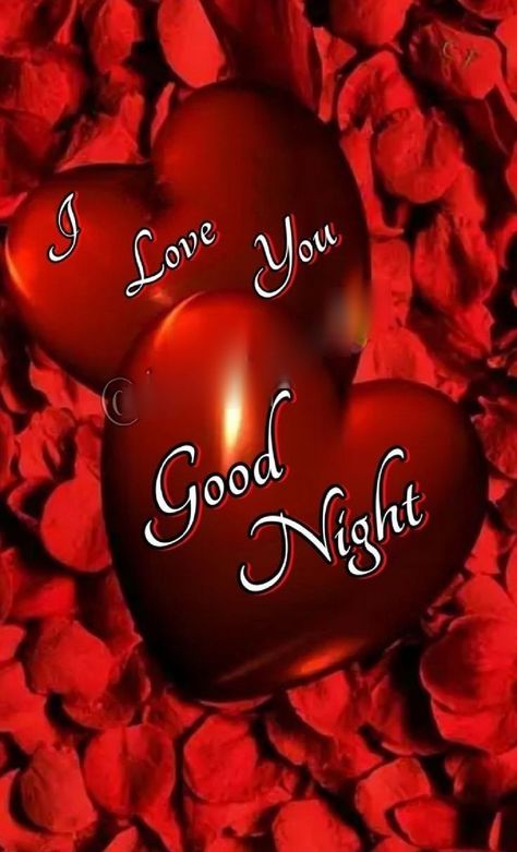 I Love You Good Night, Good Night Hubby Love You, Goodnight Gif Love You, Lovely Good Night Images For Lover, Good Night My Love Romantic For Him Video, Eagle Background, Good Night My Love, Good Night Love You, Romantic Good Night Image