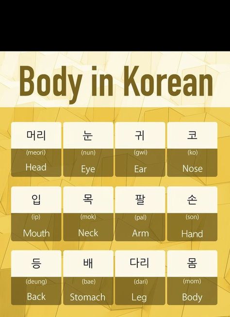 Body In Korean, How To Learn Korean, Korean Alphabet Letters, Korean Practice, Learn To Speak Korean, Korean Grammar, Korean Slang, Learning Korean Grammar, Learn Basic Korean