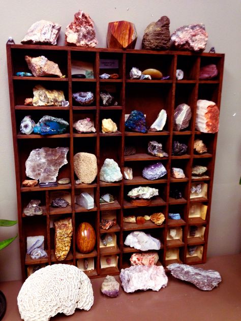 My rock collection at the lab :) Rock And Crystal Display, Crystal Display Cabinet, Rock Shelf, Display For Crystals Rock Collection, Gem Show Display, Mineral Display Ideas, Mineral Display, Rock And Gem Display, Crystal Shelf Display