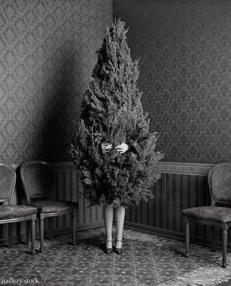 Past Decades Of Outrageously Funny, Whimsical Christmas & Winter Fashions | Do You Remember? Black And White Photograph, Whimsical Christmas, Christmas Past, Noel Christmas, White Photo, Christmas Inspiration, Christmas Cheer, White Photography, Winter Holidays