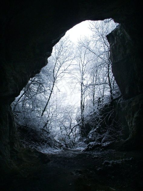 Cave Aesthetic Forest, Cave In Forest, Forest Cave, Cave Aesthetic, Snow Cave, Ice Aesthetic, Cave Entrance, Cave Drawings, Digital Rendering