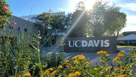 Uc Davis Campus Aesthetic, Uc Davis Campus, Ucdavis Aesthetic, Uc Davis Vet School, Uc Davis Aesthetic, 2024 Mindset, Creative Writing Major, College Core, University Inspiration