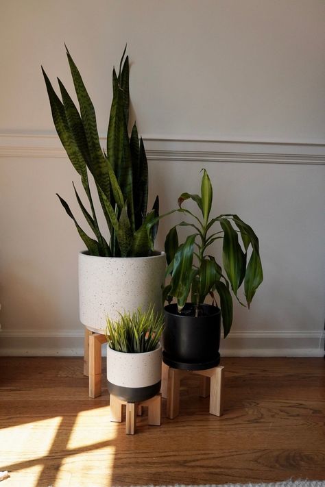 Modern Interior Design With Plants, Home Plants Indoor, Bathroom Plants No Sunlight, Plant Placement, Living Room Plants Decor, Scandi Minimalist, Best Bathroom Plants, Plant Stand Table, Corner Plant