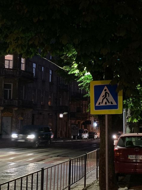 Overpass Aesthetic, Pedestrian Crossing, Cross Roads, Night City, At Night, Road