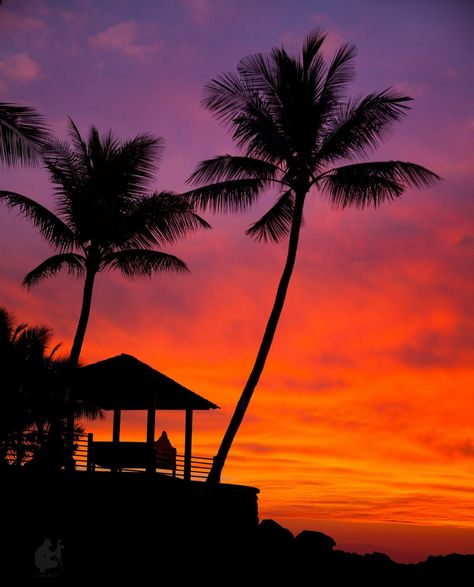 Fashion Gal, Star Photography, Pretty Landscapes, Sunset Nature, Amazing Sunsets, Amazing Art Painting, Beautiful Nature Pictures, Tropical Paradise, Sky Aesthetic