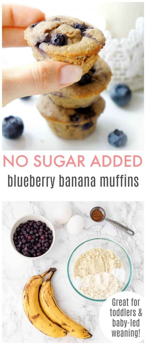 This recipe for Blueberry Banana Muffins is great for toddlers and baby-led weaning, plus these treats are packed full of healthy fats and fibre and are sweetened naturally so they contain no added sugar. Entirely gluten-free and vegetarian as well. Click to learn the recipe! Candida Diet Plan, Food Allergy Symptoms, Banana Blueberry Muffins, Candida Diet, Processed Sugar, On The Go Snacks, Snack Options, Elimination Diet, Healthy Bites