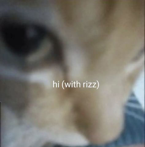 Stickers For Chat, Cat W Rizz, Are You Home Yet, Are You Home Yet Funny, Can I Come Over And Do This, Daily Homie Checkup Cat, Rizz Reaction Pic, Rizz Cat, Cat Rizz