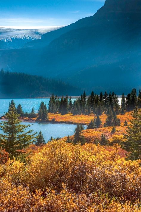 🇨🇦 Bow Lake (Banff National Park, Alberta) by Crest Pictures 🍂 Weird Thing, Icefields Parkway, Taking A Picture, Camera Raw, Banff National Park, So Beautiful, Moose, Beautiful Nature, National Parks