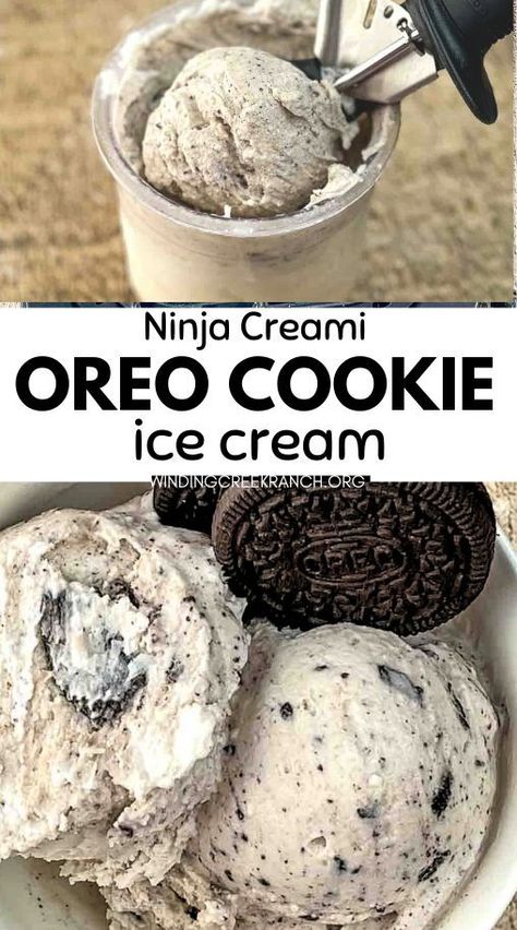 Satisfy your Oreo cravings with this delicious Ninja Creami Oreo Cookie Ice Cream! Smooth, creamy, and packed with crunchy cookie bites, this homemade recipe will be your new favorite dessert, and it’s so easy to make in the Ninja Creami! Cookies And Cream Ninja Creami Recipe, Ninja Creami Cookies And Cream Ice Cream, Cookies And Cream Creami Recipe, Ninja Creami Ice Cream Recipes Cookies And Cream, Cosmic Brownie Ninja Creami, Ninja Cream Chocolate Ice Cream, Ninja Cream Recipe Easy, Oreo Ninja Creami Recipe, Cookie Dough Ninja Creami Recipes