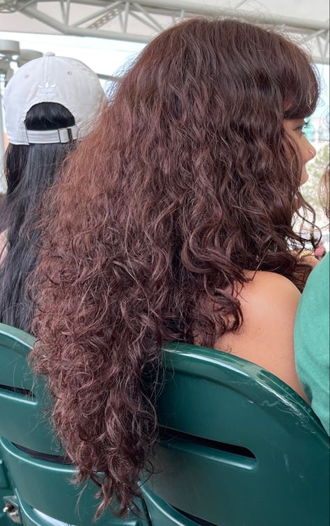 Red Curly Hair On Brown Skin, Brown With Red Undertones Curly Hair, Copper Burgundy Brown Hair, Cherry Wine Curly Hair, Cherry Brunette Curly Hair, Curly Mahogany Hair, Curly Hair Copper Brown, Curly Cherry Brown Hair, Chocolate Cherry Hair Color Dark Curly