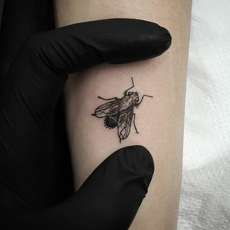 Katy Wiedemann, Fly Tattoo, Flying Tattoo, Men's Small Tattoo, Bug Tattoo, Insect Tattoo, Mommy Tattoos, Spooky Tattoos, Tattoo Style Drawings