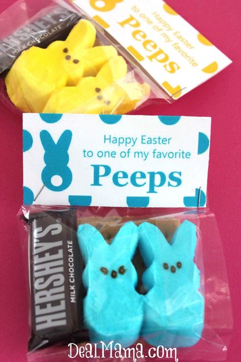 FREE Printable Easter Gift Tags + DIY Peeps S'mores Treat Bags! Peeps Treats, Candy Gifts Diy, Easter Peeps, Handmade Kids, Easter Holidays, Candy Gifts, Sweet And Salty, Treat Bags, Easter Baskets