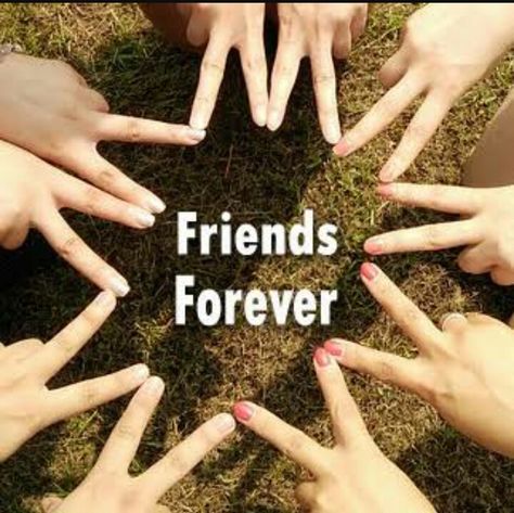 Frnds Forever Dp, Group Frnds Dp, Friendship Dp Pics, Friends Forever Dp For Whatsapp, Friend Dp For Whatsapp, Friends Forever Pictures For Dp, Friends Images Friendship, Friends Forever Dp, Best Friends Dp